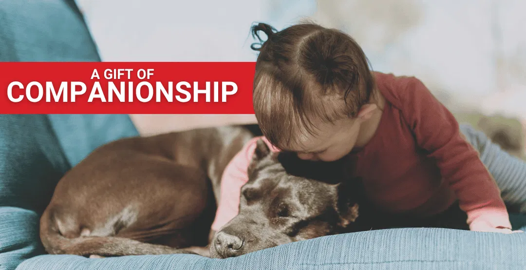 Young girl hugging her dog