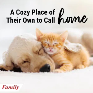 A Cozy Place of Their Own to Call Home