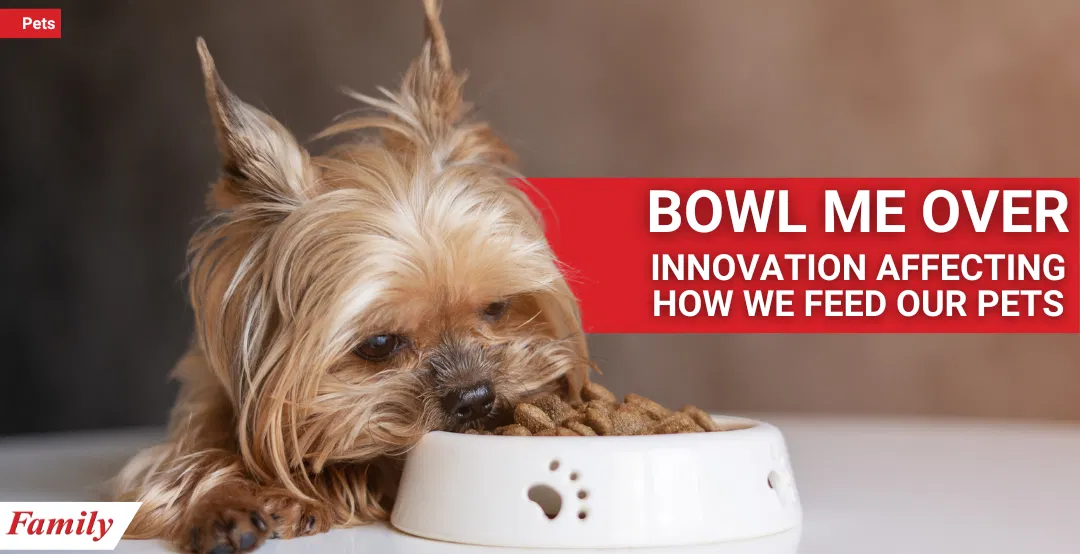  Bowl Me Over: Innovation Affecting How We Feed Our Pets