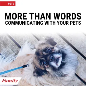 More Than Words: Communicating with Your Pet