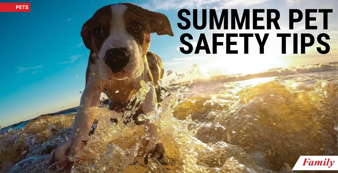 Summer Pet Safety Tips